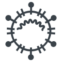 Coronavirus,Flu,Influenza,Mers,Sars,Virus,Covid-19,Corona,Corona virus